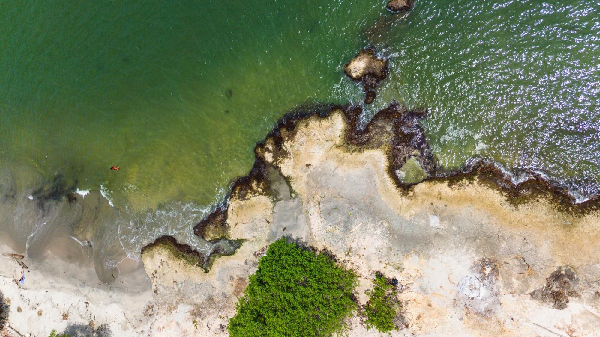 Isla Real